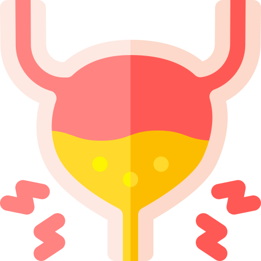 bladder (1)