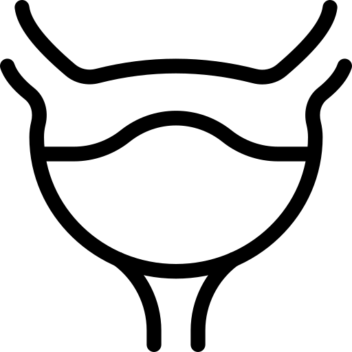 bladder (1)