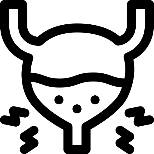 bladder (2)