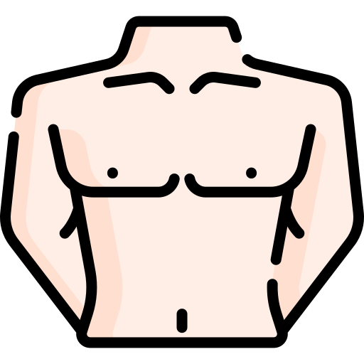 chest