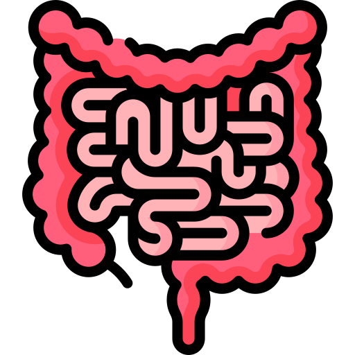 intestine