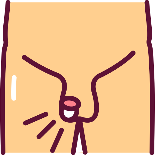 reproductive-system