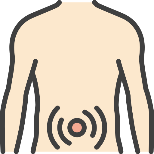 stomach