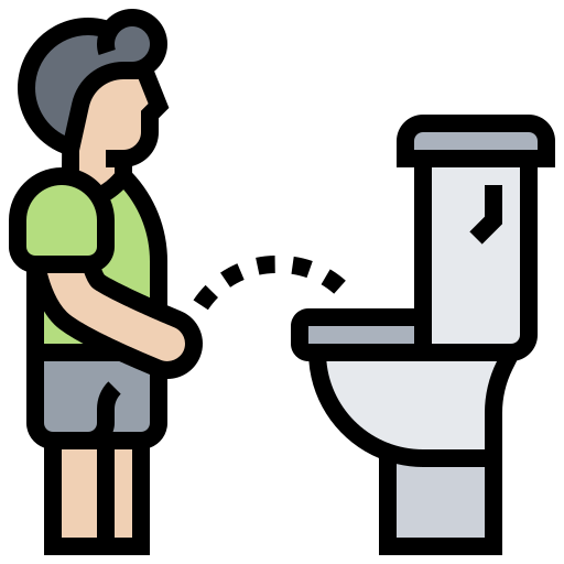 toilet