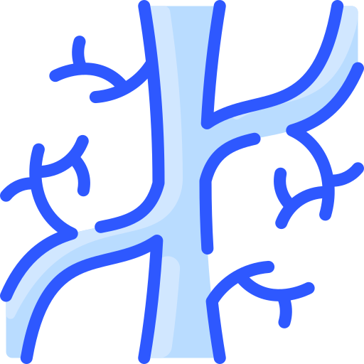 vascular (1)