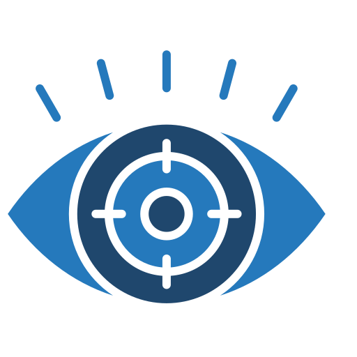vision (5)